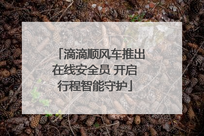 滴滴顺风车推出在线安全员 开启行程智能守护