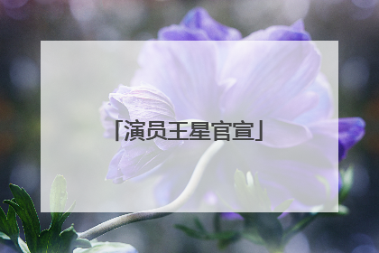 演员王星官宣