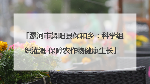 漯河市舞阳县保和乡：科学组织灌溉 保障农作物健康生长