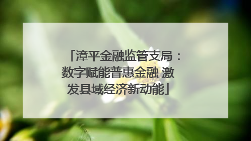 漳平金融监管支局：数字赋能普惠金融 激发县域经济新动能
