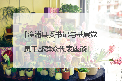 漳浦县委书记与基层党员干部群众代表座谈