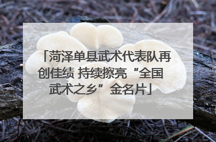 菏泽单县武术代表队再创佳绩 持续擦亮“全国武术之乡”金名片