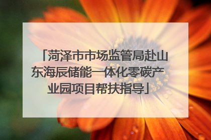 菏泽市市场监管局赴山东海辰储能一体化零碳产业园项目帮扶指导