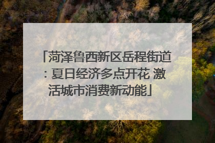 菏泽鲁西新区岳程街道：夏日经济多点开花 激活城市消费新动能