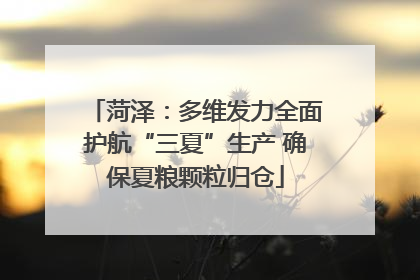 菏泽：多维发力全面护航“三夏”生产 确保夏粮颗粒归仓
