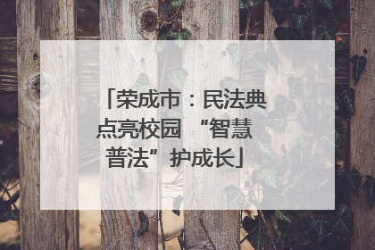 荣成市：民法典点亮校园 “智慧普法”护成长