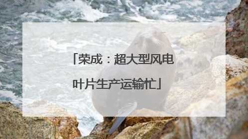 荣成：超大型风电叶片生产运输忙