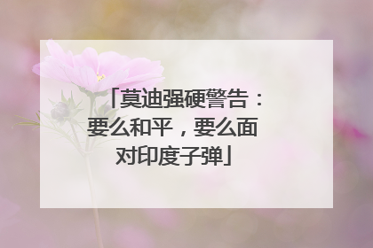 莫迪强硬警告：要么和平，要么面对印度子弹