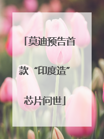 莫迪预告首款“印度造”芯片问世