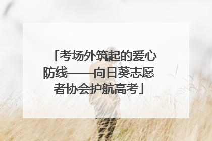 考场外筑起的爱心防线——向日葵志愿者协会护航高考
