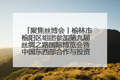 聚焦丝博会丨榆林市榆阳区组团参加第九届丝绸之路国际博览会暨中国东西部合作与投资贸易洽谈会