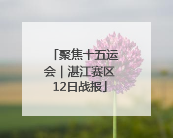 聚焦十五运会｜湛江赛区12日战报