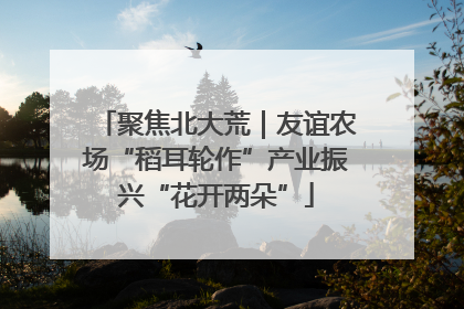 聚焦北大荒｜友谊农场“稻耳轮作”产业振兴“花开两朵”