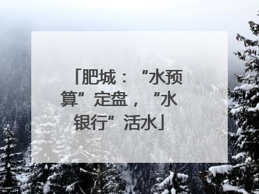 肥城：“水预算”定盘，“水银行”活水