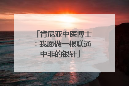 肯尼亚中医博士：我愿做一根联通中非的银针