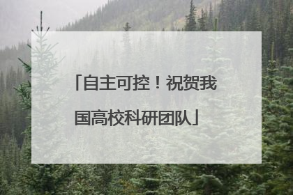 自主可控！祝贺我国高校科研团队
