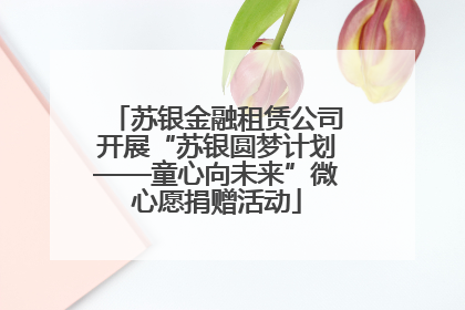 苏银金融租赁公司开展“苏银圆梦计划——童心向未来”微心愿捐赠活动