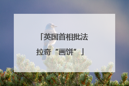 英国首相批法拉奇“画饼”