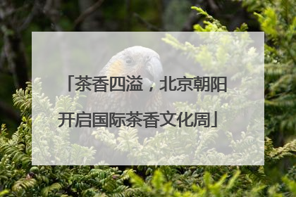 茶香四溢，北京朝阳开启国际茶香文化周