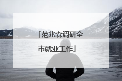 范兆森调研全市就业工作