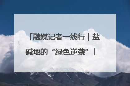 融媒记者一线行｜盐碱地的“绿色逆袭”