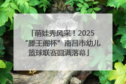 萌娃秀风采！2025“滕王阁杯”南昌市幼儿篮球联赛圆满落幕