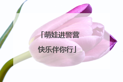 萌娃进警营 快乐伴你行