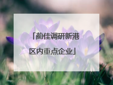 蔺佳调研新港区内重点企业