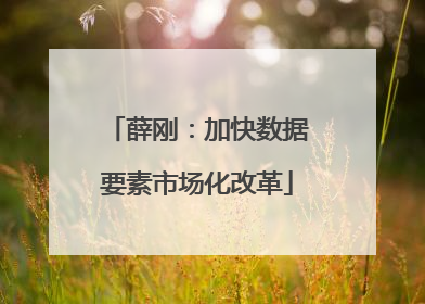 薛刚：加快数据要素市场化改革