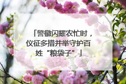 警徽闪耀农忙时，仪征多措并举守护百姓“粮袋子”