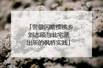 警徽闪耀樱桃乡 刘志硕与北宅派出所的枫桥实践