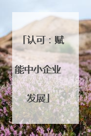 认可：赋能中小企业发展