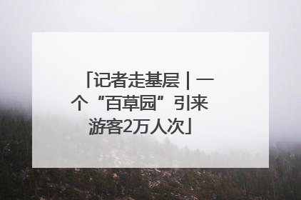 记者走基层｜一个“百草园”引来游客2万人次
