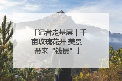 记者走基层｜千亩玫瑰花开 美景带来“钱景”