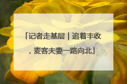 记者走基层｜追着丰收，麦客夫妻一路向北
