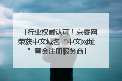 行业权威认可！京客网荣获中文域名“中文网址”黄金注册服务商