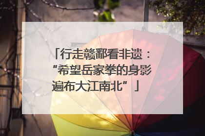 行走赣鄱看非遗：“希望岳家拳的身影遍布大江南北”
