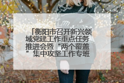 衡阳市召开新兴领域党建工作重点任务推进会暨“两个覆盖”集中攻坚工作专班 第一次会议