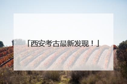 西安考古最新发现！