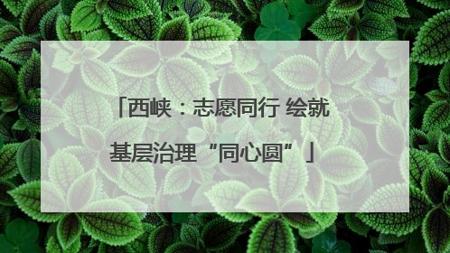 西峡：志愿同行 绘就基层治理“同心圆”