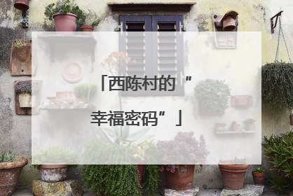 西陈村的“幸福密码”