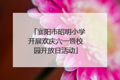 襄阳市昭明小学开展欢庆六一暨校园开放日活动