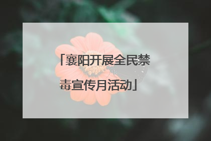 襄阳开展全民禁毒宣传月活动