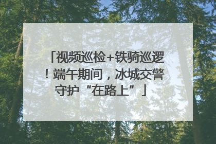 视频巡检+铁骑巡逻！端午期间，冰城交警守护“在路上”