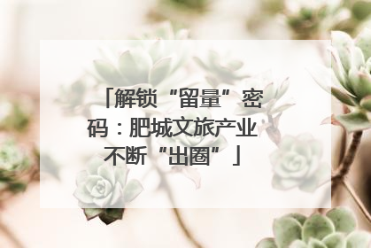 解锁“留量”密码：肥城文旅产业不断“出圈”