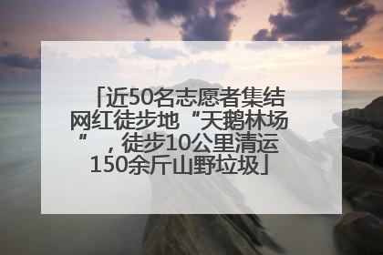 近50名志愿者集结网红徒步地“天鹅林场”，徒步10公里清运150余斤山野垃圾