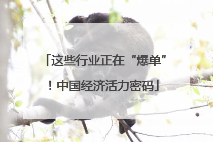 这些行业正在“爆单”！中国经济活力密码