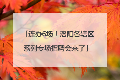 连办6场！洛阳各辖区系列专场招聘会来了