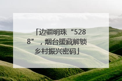 边疆明珠“5288”，烟台援藏解锁乡村振兴密码