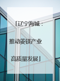 辽宁海城：推动菱镁产业高质量发展